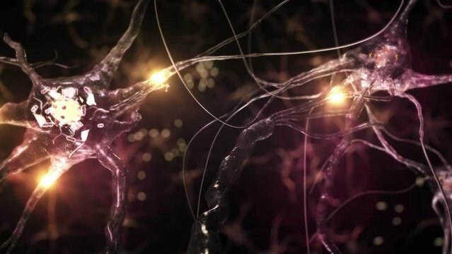 Animation of Neuron Cells with Glowing Links. Synapse. Journey Through a Colorful Network Of Nerve Cells With Impulses Passing By. Loopable.
