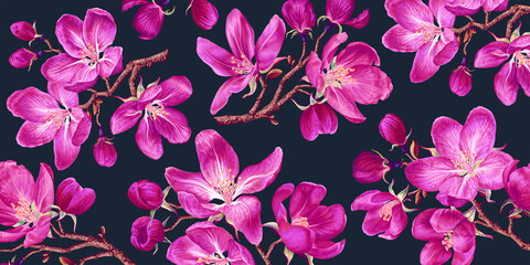 Horizontal banner, floral background with branches of pink blooming apple trees, sakura trees. Spring botanical vector illustration realistic flowers on dark background. Computer desktop wallpaper
