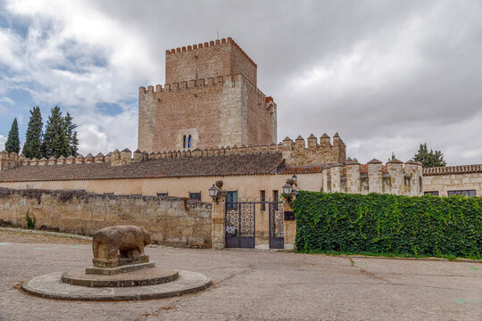 Castle and verraco of the town of Ciudad Rodrigo in the province of Salamanca