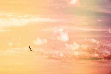 Sky landscape with clouds in pastel colors