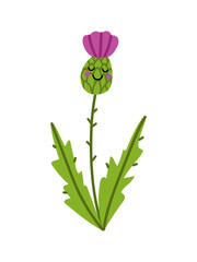 Cute little Thistle flower illustration. Pretty vector art of wild flower hand drawn in doodle style and isolated on white background