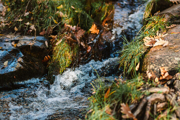 Relaxing landscape, concept of nature and flow.