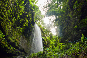 waterfall in the jungle