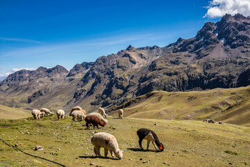 Mountains and landscapes of cusco, peru