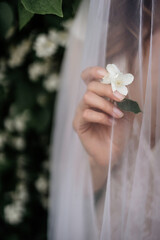 bride holding wedding decorations and flowers beyond the veil