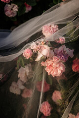 pink flowers beyond the veil