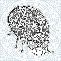 Insect Mandala coloring pages. Stress Relieving Animals Designs
