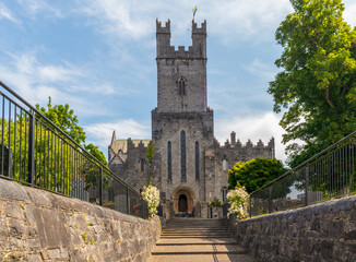 Fototapeta na wymiar Old St Mary Cathedral in Limerick, Ireland
