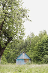 Small wooden house in rural field, view on a farmhouse in countryside, summer scenic landscape