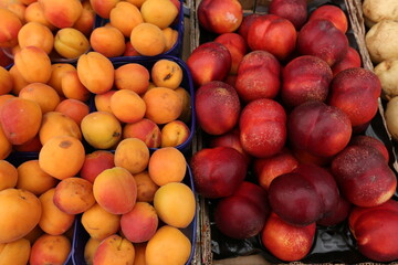 Fruits and berries are sold at the market