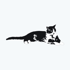 Cat vector drawing. Grey background. - obrazy, fototapety, plakaty