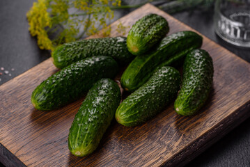 Delicious fresh cucumbers with garlic, salt, spices and herbs on a wooden cutting board