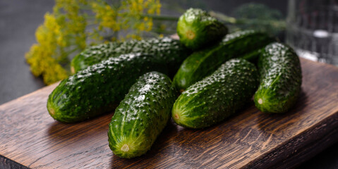 Delicious fresh cucumbers with garlic, salt, spices and herbs on a wooden cutting board