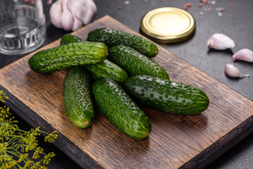 Delicious fresh cucumbers with garlic, salt, spices and herbs on a wooden cutting board