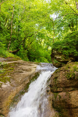 Obraz premium spring in nature, a natural park, a mountain river in a natural channel with rapids and waterfalls.*