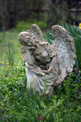 angel statue in the garden