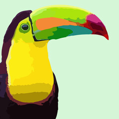 toucan bright colors, painting on the wall © Marina by