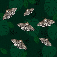 illustration pattern background leaves butterfly wallpaper nature