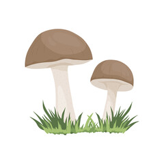 Vector Birch Mushroom Isolated on White. Hand Drawn Cartoon Birch, Porcini Mushrooms. Design Template, Clipart. Leccinum Scabrum, Penny Bun. Mushroom Couple