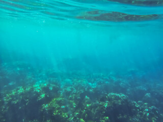 Naklejka na ściany i meble Bright blue underwater image of Pacific ocean water and the coral reef taken in Maui Hawaii