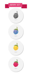 BERRY SET. Raspberry, blackberry berry. Eco food icon set. Poster. Isolated berry. Summer fruit. 