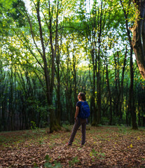 Fototapeta premium Young travel woman with backpack exploring woods in mountains in the morning