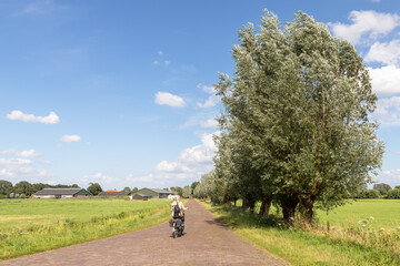 A cyclist on a farm road with pollard willows on the right side of the road.