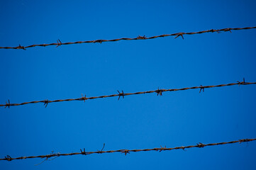 Barbed wire silhouette against sky.