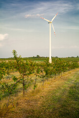 widok na sad wiśniowy i turbinę wiatrową