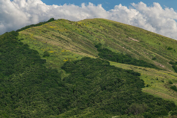 Landscape in the mountains, green hills and trees in the summer day.
