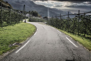 road through wine growing area, norway