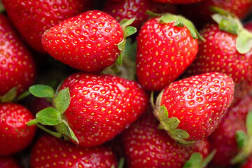 Fresh strawberries in the market close-up. Organic fruits
