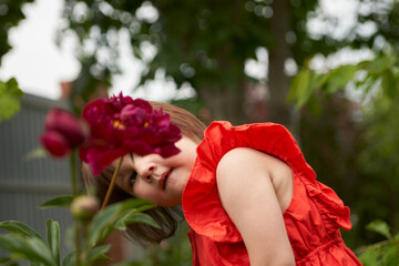 A little girl in a red dress is curiously examining a burgundy peony bush in the garden.