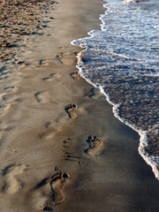 Footprints on the beach.