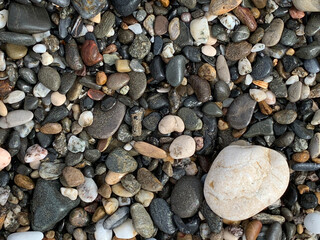 Pebbles on the seashore. Close-up. Pattern