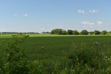 Camping Russeltown 24 Au 26 Juin 2022