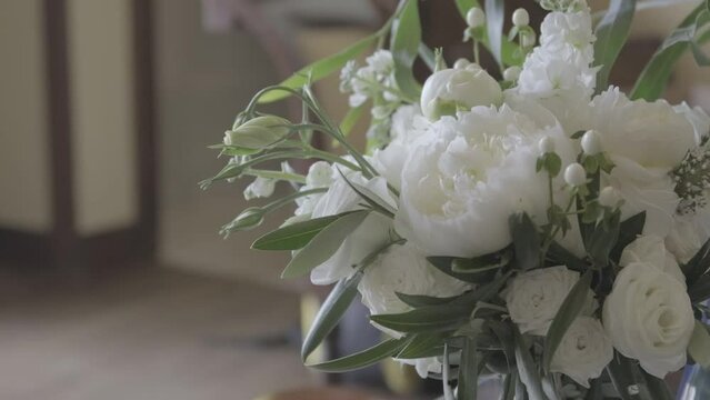 belles fleurs Roses blanches en gros plan