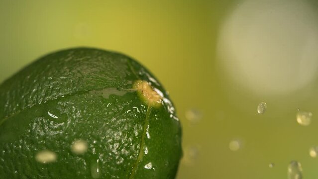 Fresh Lime fruit squirting with juice in slow motion in green nature background 4K