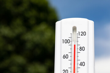 Outdoor thermometer in the sun during heatwave with trees and sky in background. Hot weather, high...