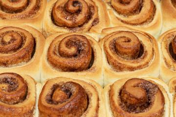 Homemade sweet cinnamon rolls. Close Up of freshly cooked buns.
