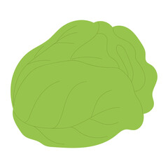 Isolated sketch of a lettuce icon Flat design Vector