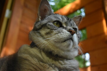 Camping Russeltown 24 Au 26 Juin 2022