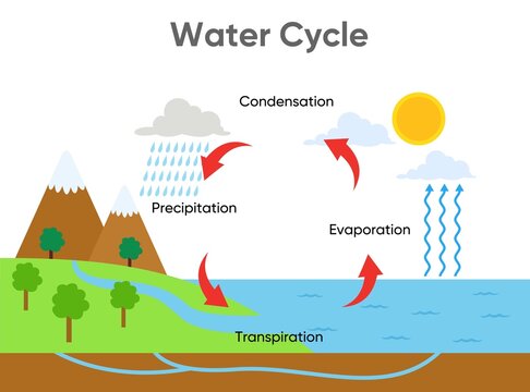 water cycle diagram with rainfall and ocean, vector design illustration