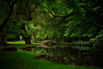 Poland - Habsburg Park - Zywiec - footbridge in the park - green colors 