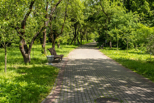 Landscaping of a parking area with flowers and trees on a sunny day, an ennobled park area in a botanical garden with paths and green trees