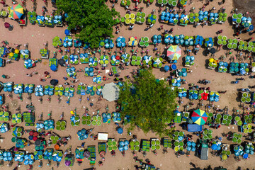 The Second Largest Mango Market in Asia. Kansat, Chapainawabganj, Bangladesh