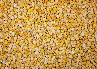 Background pea natural dry unprepared. Background of raw peas.