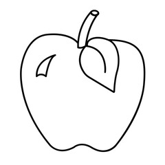 apple vector line illustration