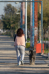 Naklejka na ściany i meble woman walking her pet in the park on a sunny day