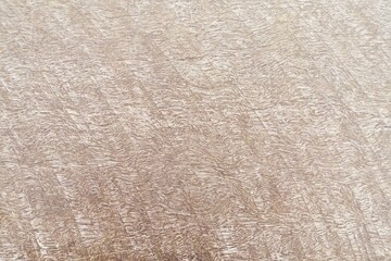円弧を描く板の木目